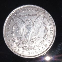 1889 Collectors Coins