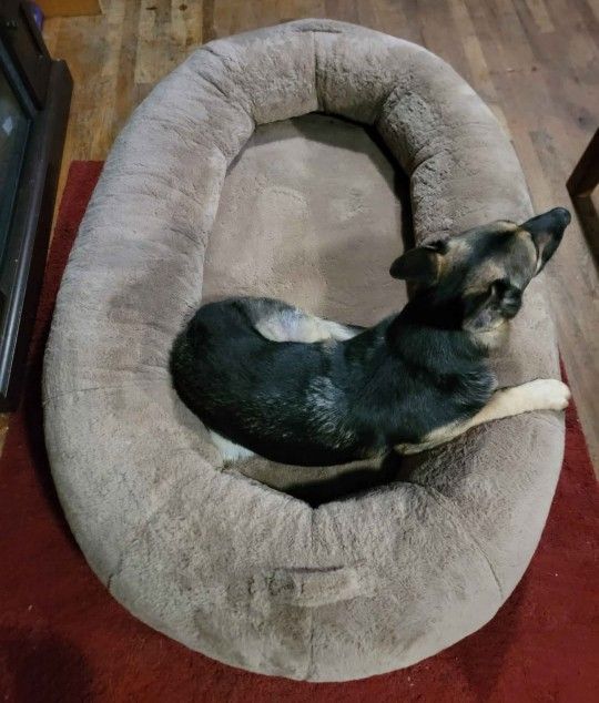 XXL Very Large Dog Bed Easily Big Enough for 2 Large Dogs