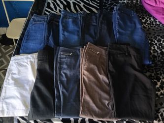 Loft,Style&Co,7th AVE And Lexington Pants Bundle 