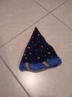 Clean Wizard Hat from Legoland