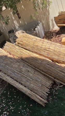 Reed fencing
