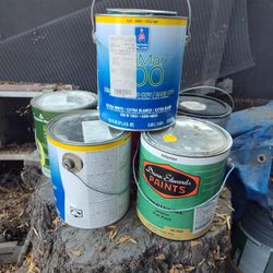 Gallon Paint 