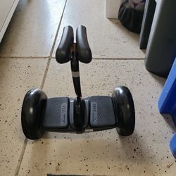 Ninebot S