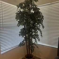 Fake - Artificial Plant