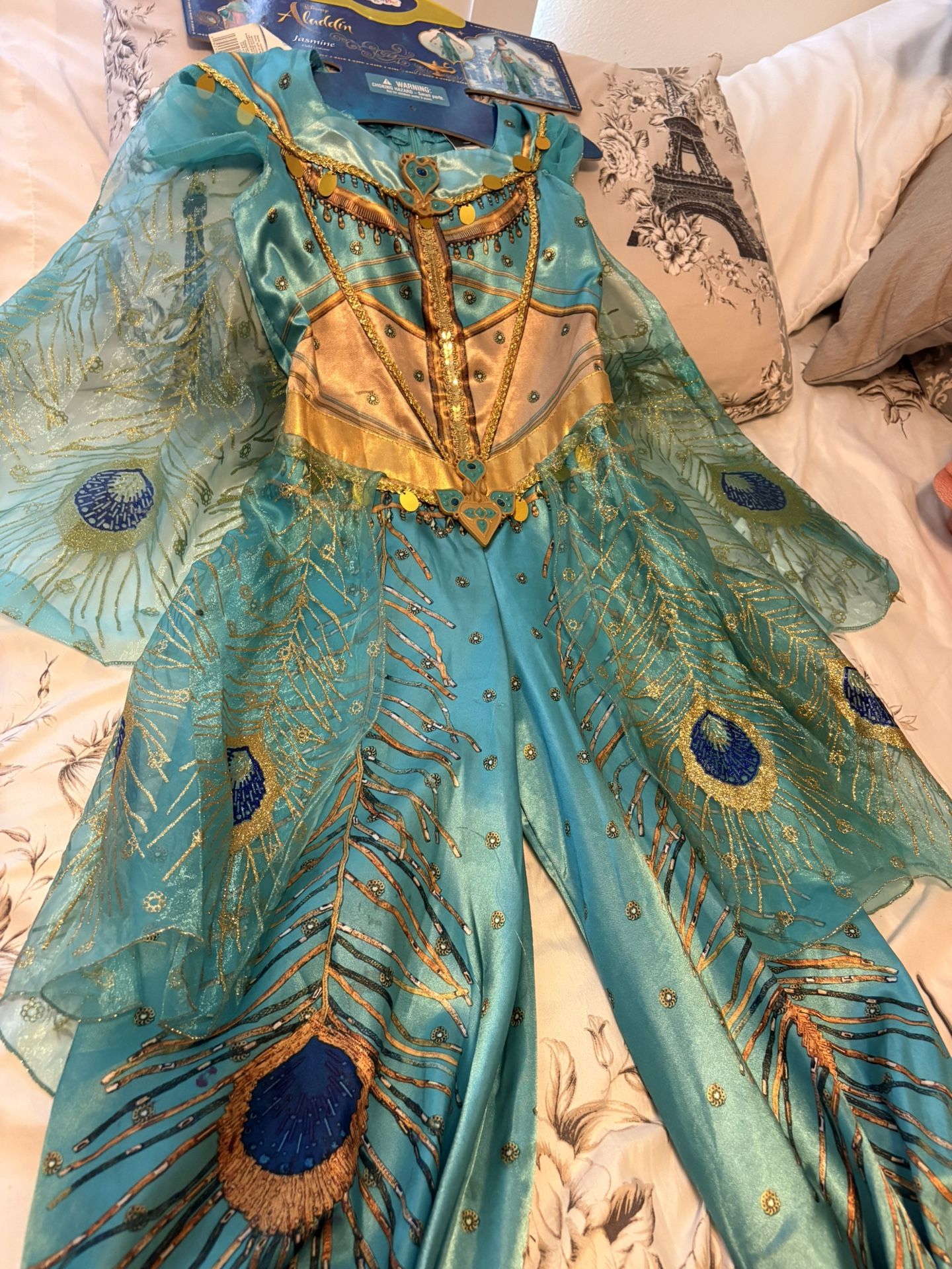 Princess Jasmine Costume
