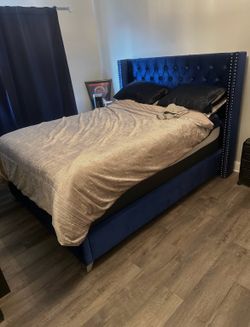 Blue, velvet, Queen size bed frame only from value city