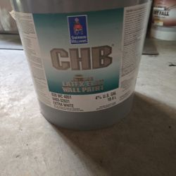 Commercial Paint