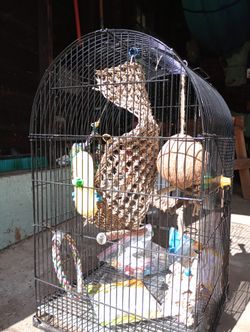 Large Bird Cage