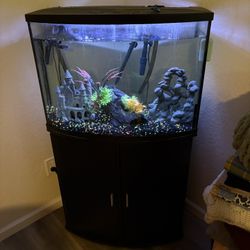 39 Gallon Fish Tank 