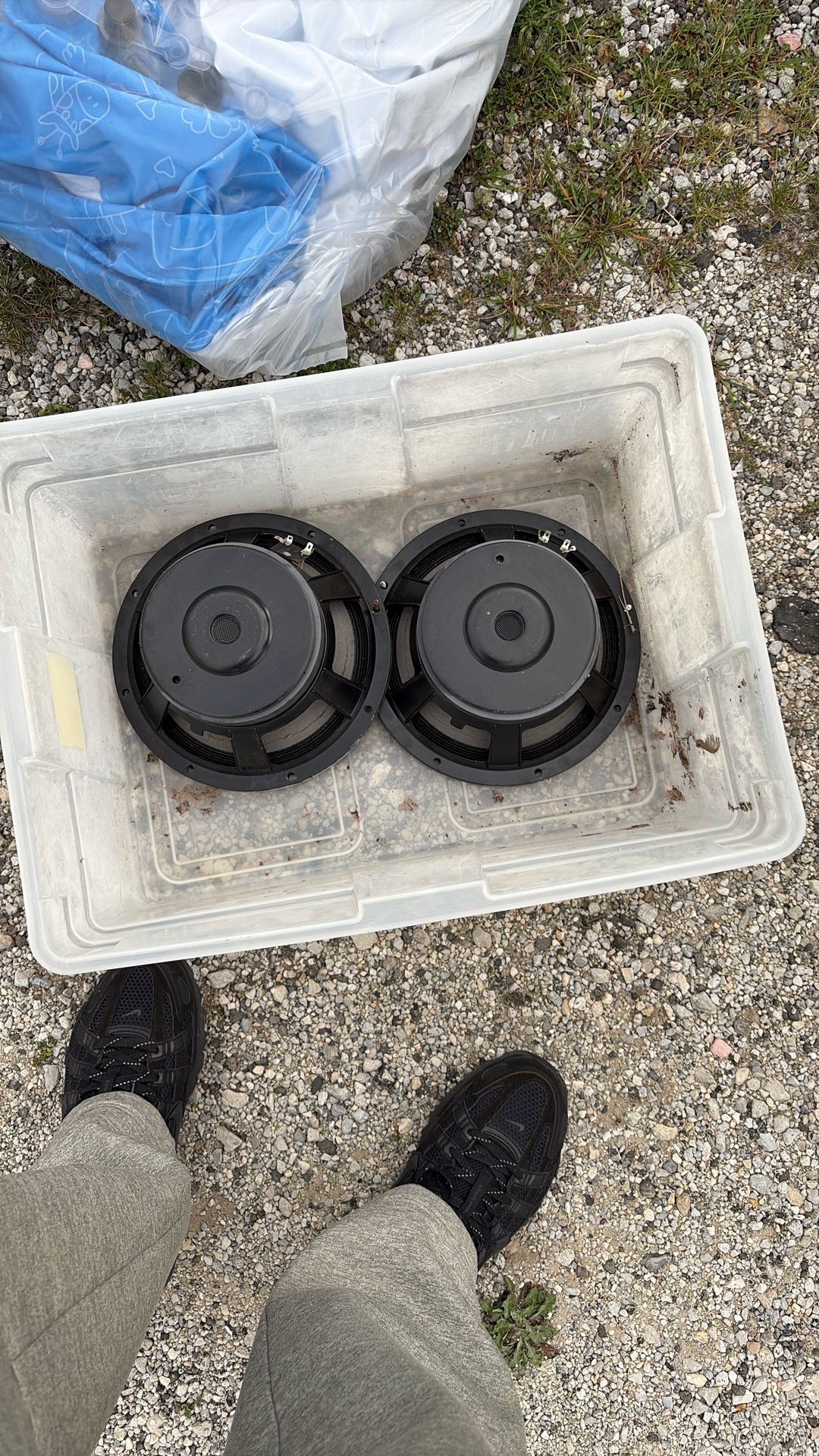 Eminence Guitar Speakers Torn For Parts 