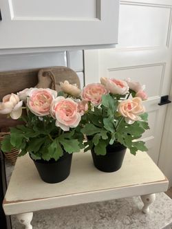 Set of 2 faux plants $12