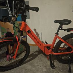 Bicicleta