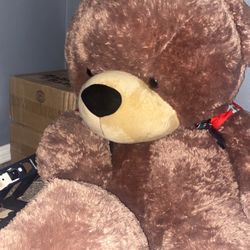 Big teddy bear