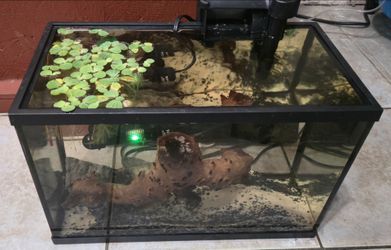 5 gallon aquarium tanks
