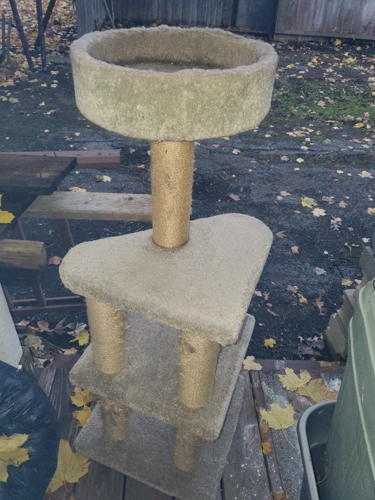 Cat Playing Tower