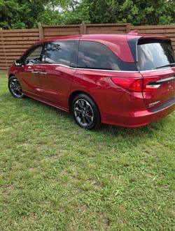 Honda Odyssey Minivan – Red