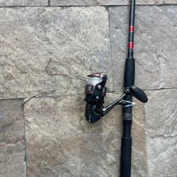 Medium Heavy Salt Water Spinning Combo