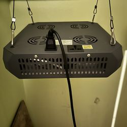 Vivusun LED Grow Light