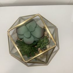 Opalhouse Filled Terrarium Gold Zen Meditation Artificial Plant