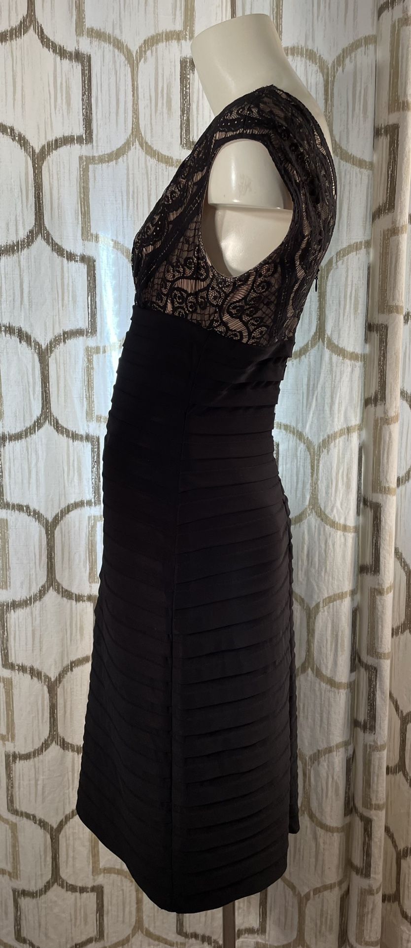 Size 6 Adrianna Pappell dress