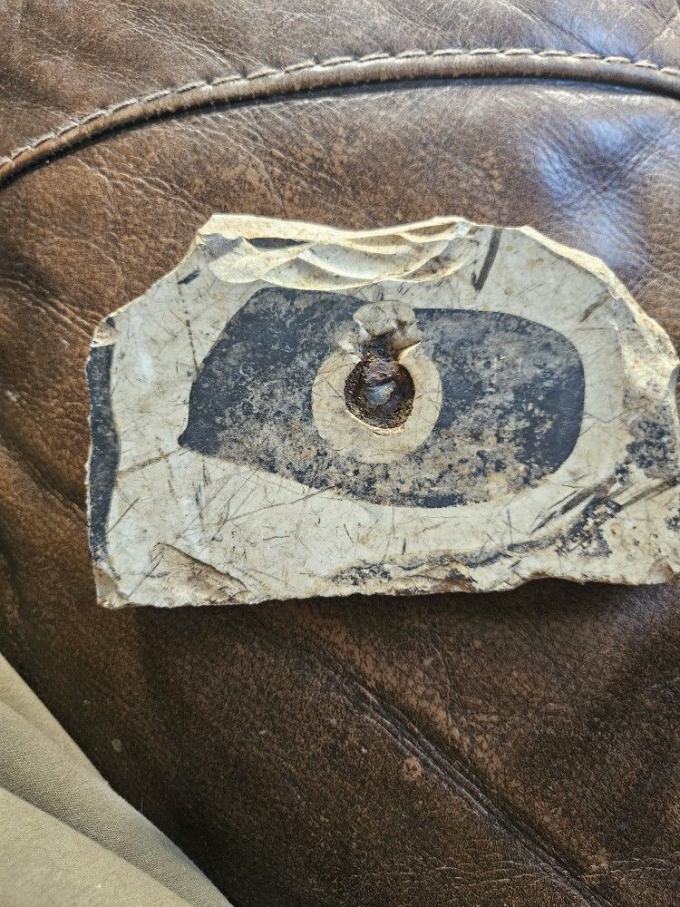 ?????? It's Old Alaska Native Indian Whales Head ?