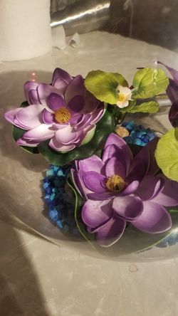 Compact betta fish tank with all amenities