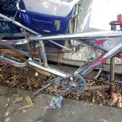 Orange County Chopper Frame And Forks