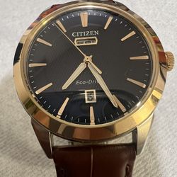 Citizen Eco Drive 