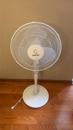 18 Inch Fan.Two