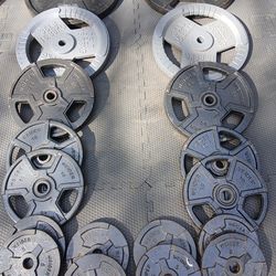 Weider weight plates 1inch $1/lbs.