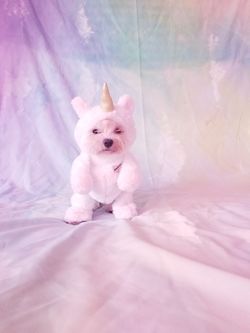 Unicorn costume new