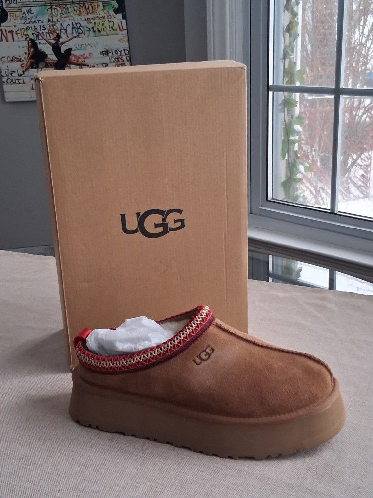 UGG W TAZZ II