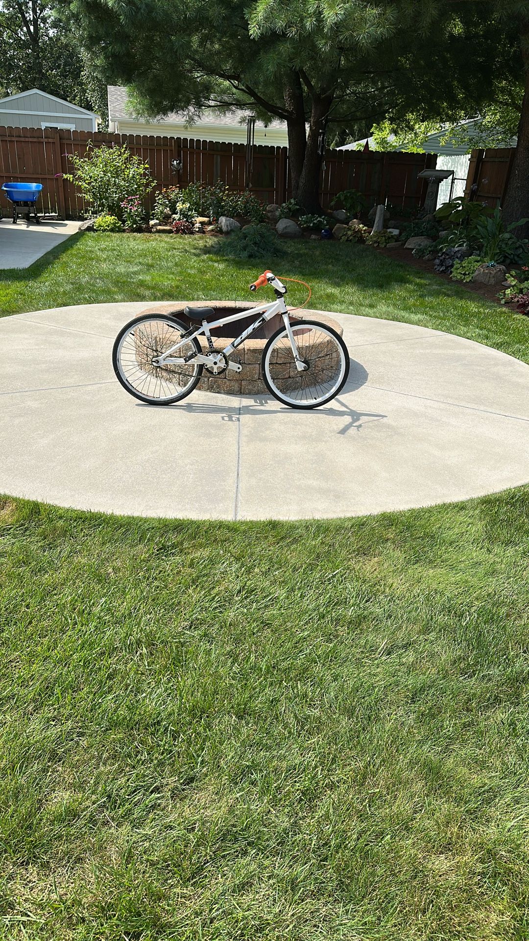 DK Fury Junior Bike 