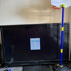 55 Inch