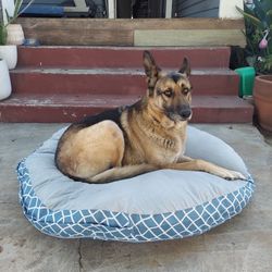 Dog Bed