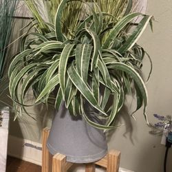 Beautiful Artificial Plants In HEAVY Concrete Vase And Plant Stand 