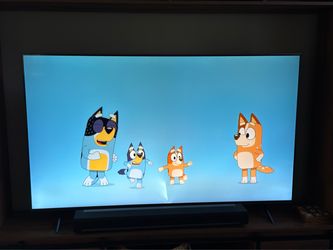 LG 65” TV