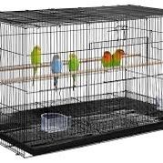 Bird Cage/jaula De Pájaro 