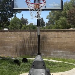 Basketball Hoop