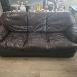 Brown Leather Couches