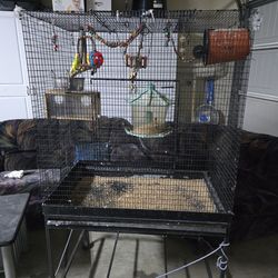 Bird cage