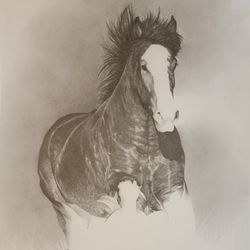 Horse on the run