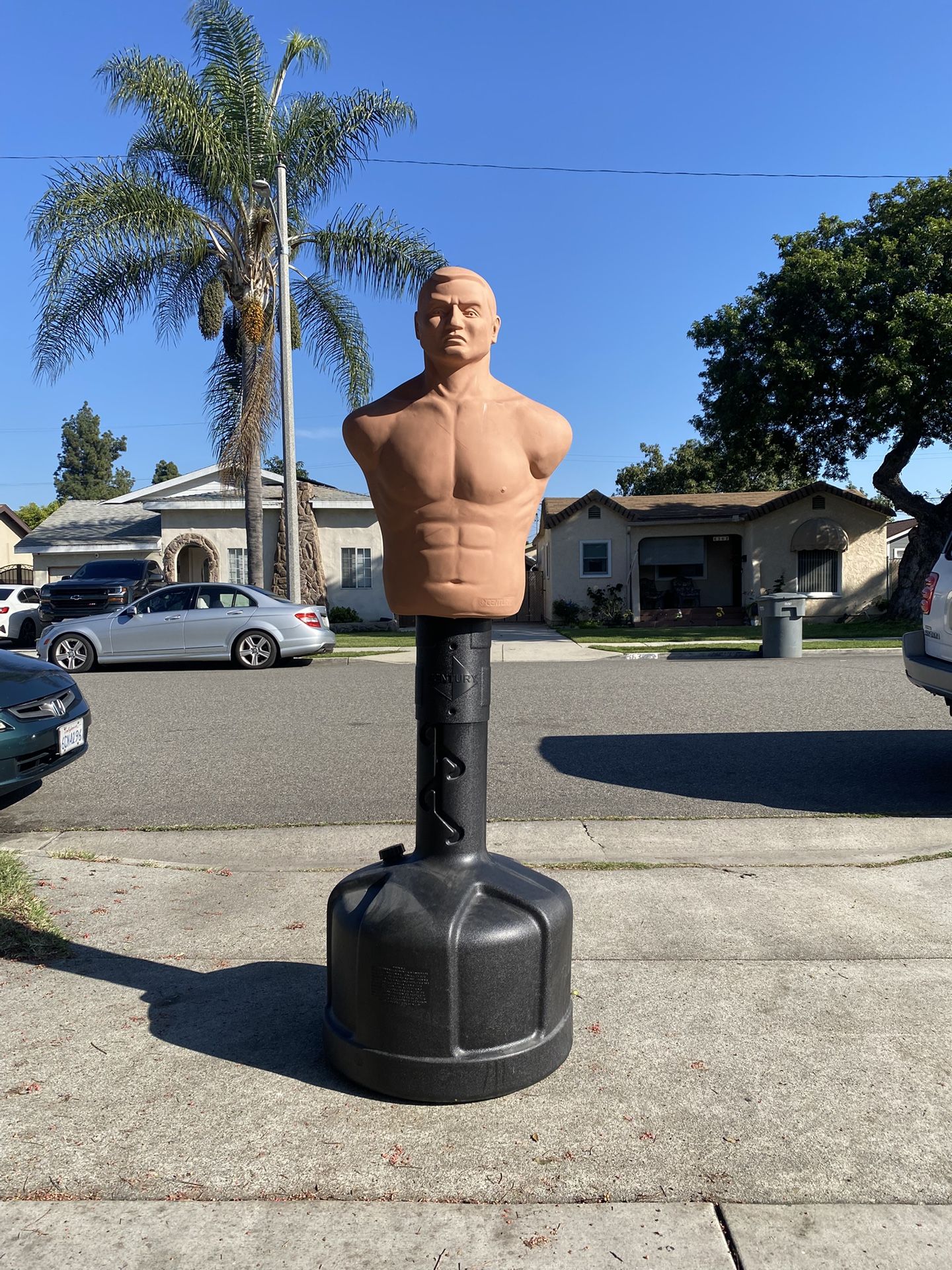 CENTURY PUNCHING BOB Bag