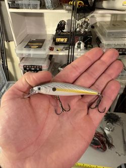 Strike King Bitsy Jerkbait “Sexy Shad” 1/4oz  