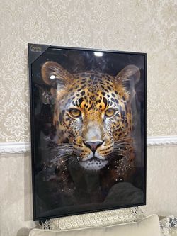 Leopard picture