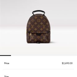 Authentic Louis Vuitton Palm Springs Mini 