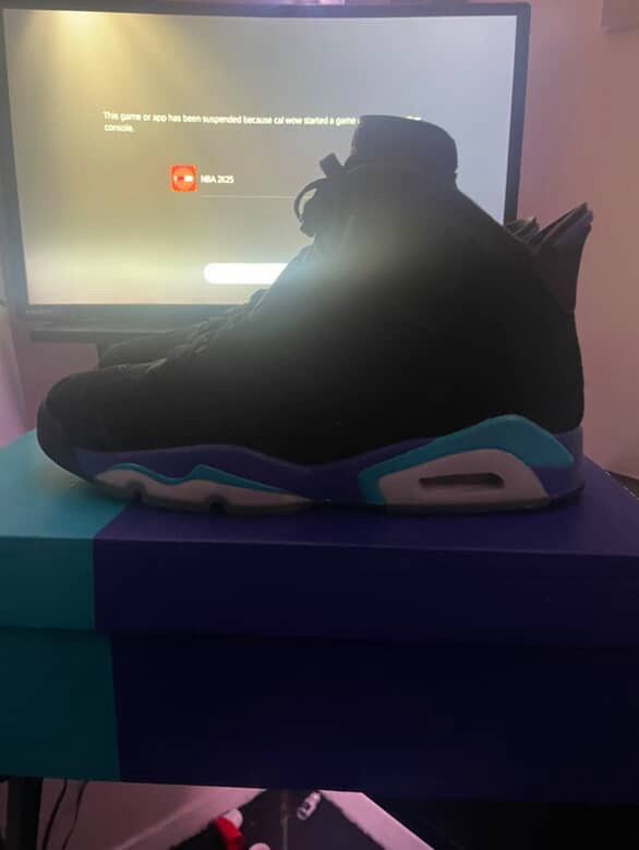 Jordan 6 Aqua