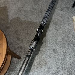 LDC H swimbait rod