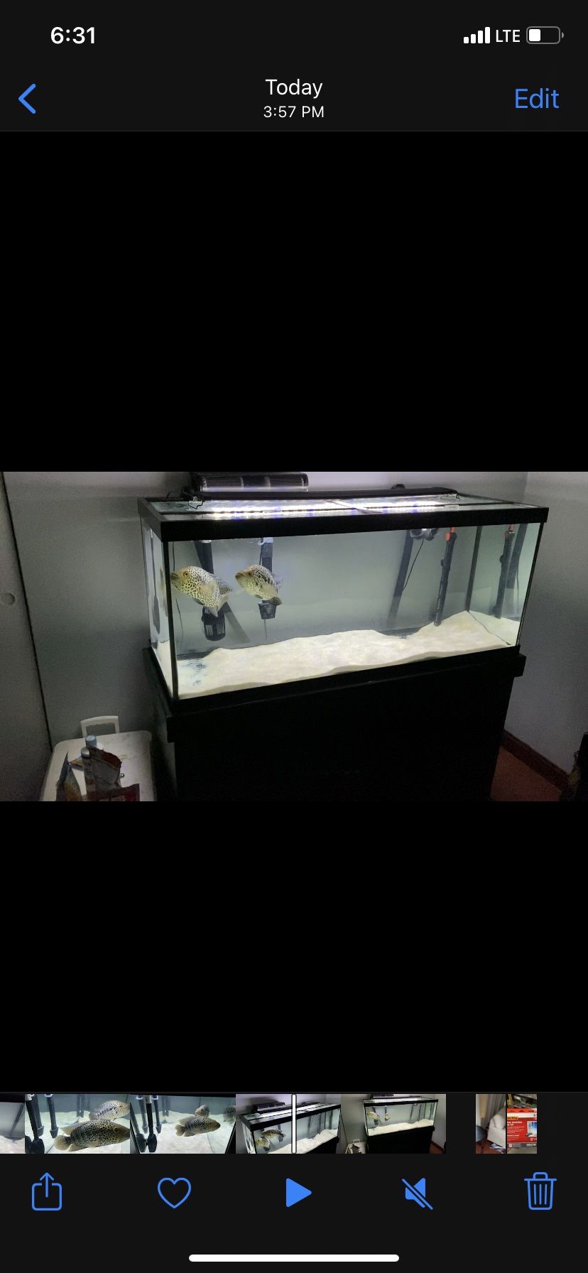 75 Gallon Fish Tank