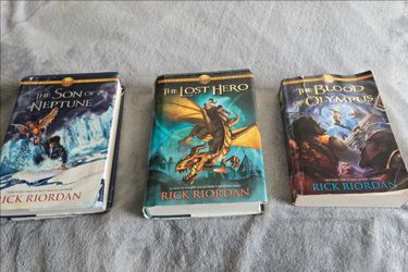 Rick Riordan Heroes of Olympus Book Lot: The Lost Hero, The Son of Neptune, The Blood of Olympus